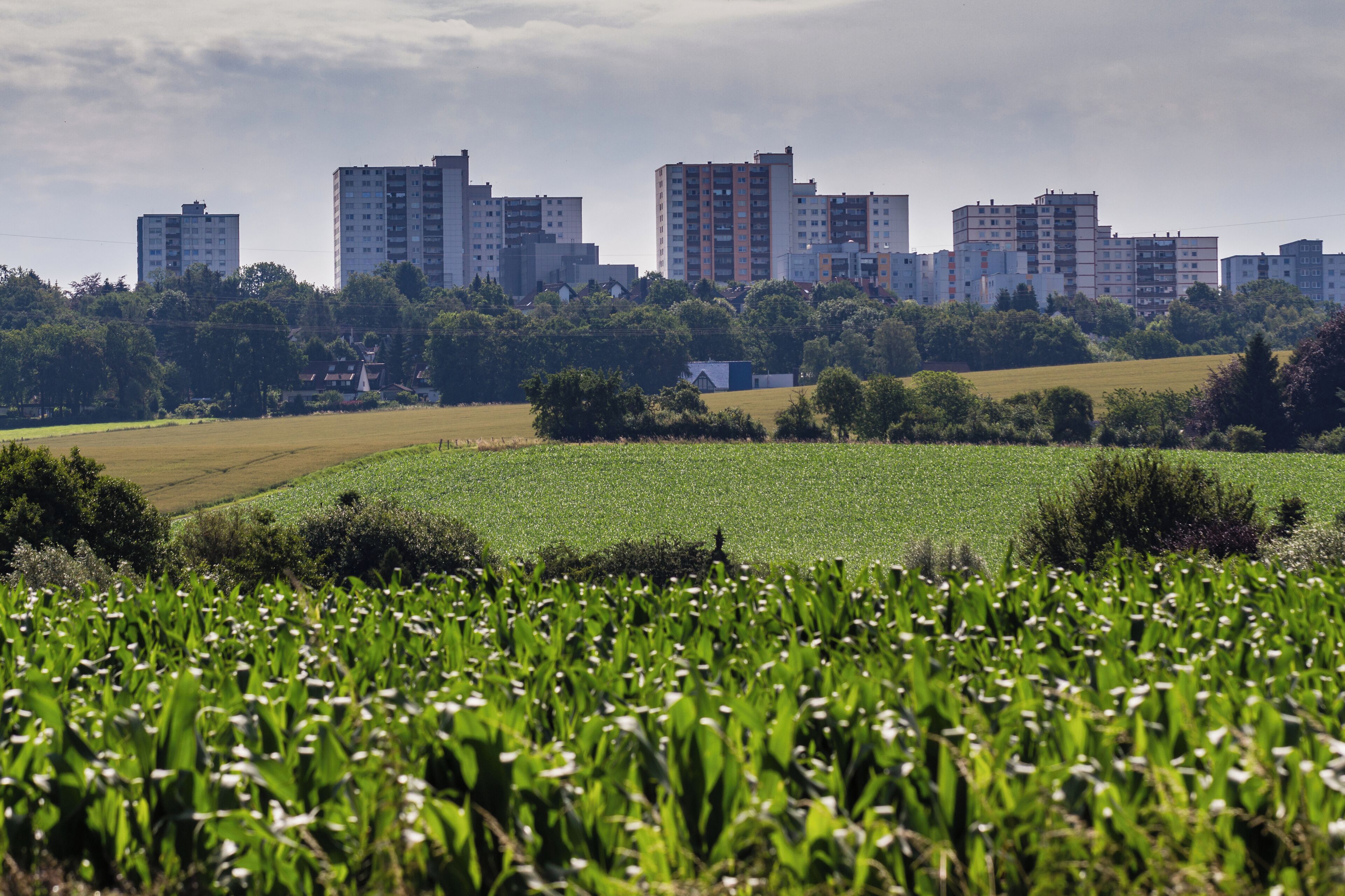 Die Hochhaussiedlung am Eckbusch mit Wülfrather Feldern im Vordergrund.
