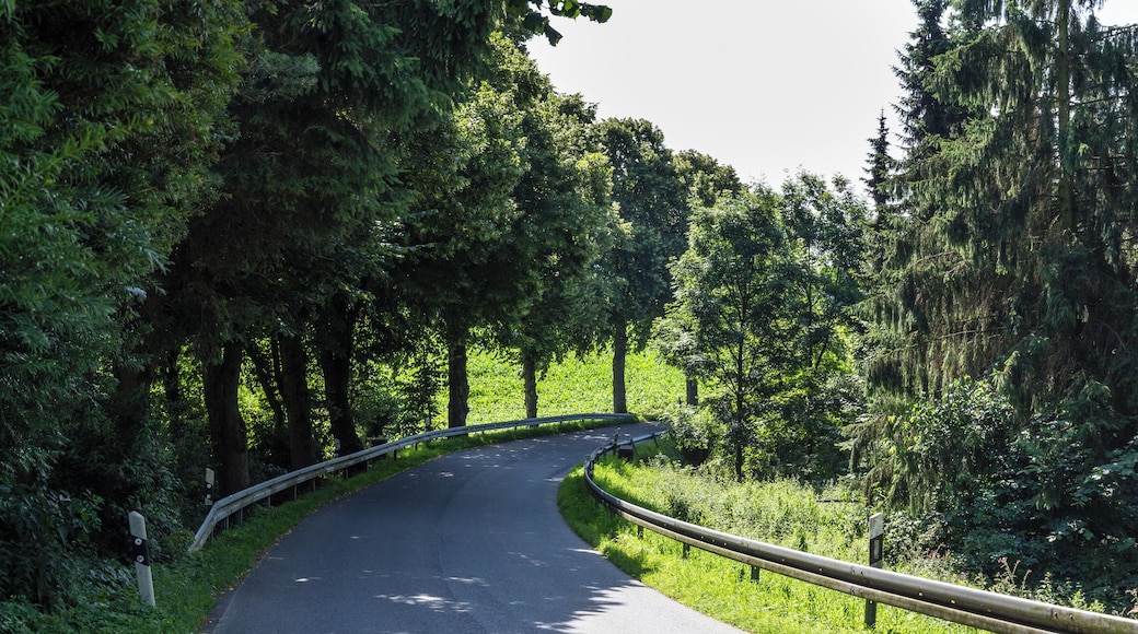 OberdĂŒsseler Weg in WĂŒlfrath