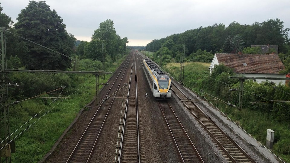 A train on a railway track surrounded by greenery and a small building.