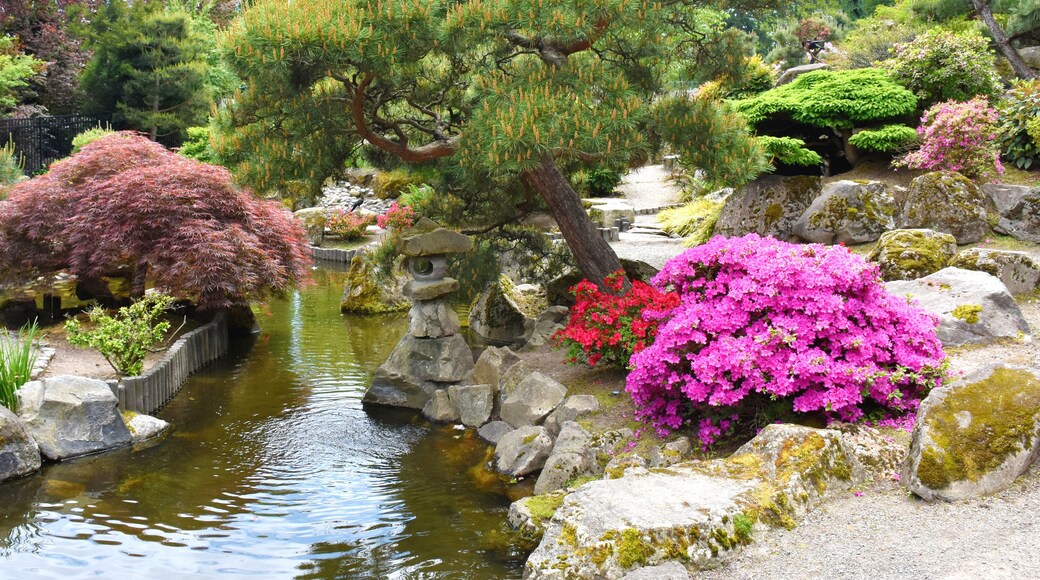 Highline SeaTacin kasvitieteellinen puutarha