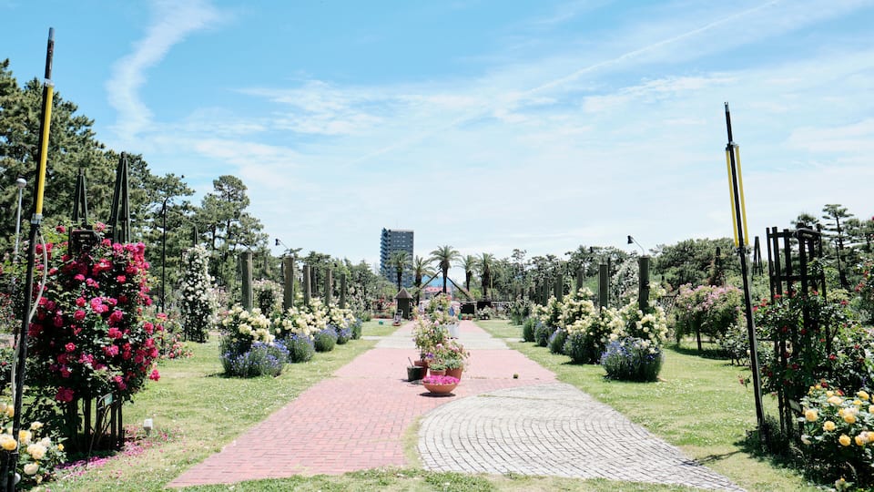 浜寺公園のバラ庭園