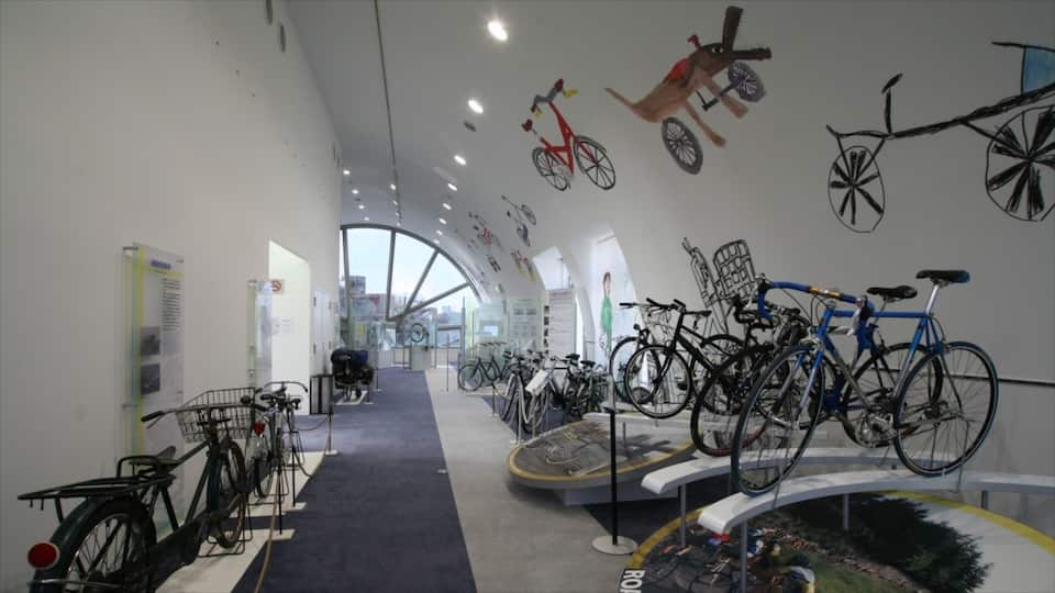A museum with bicycles on display, including a red tricycle and a blue bicycle.