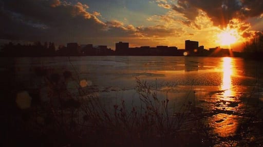 A beautiful sunset today at ub! At least there is one perk to being stuck on campus for 12 hours! 🌅🌅🌅 #ub #universityatbuffalo #buffalo #sunset #baridpoint #oozefestpits #springsemester #academicspine #campuslife