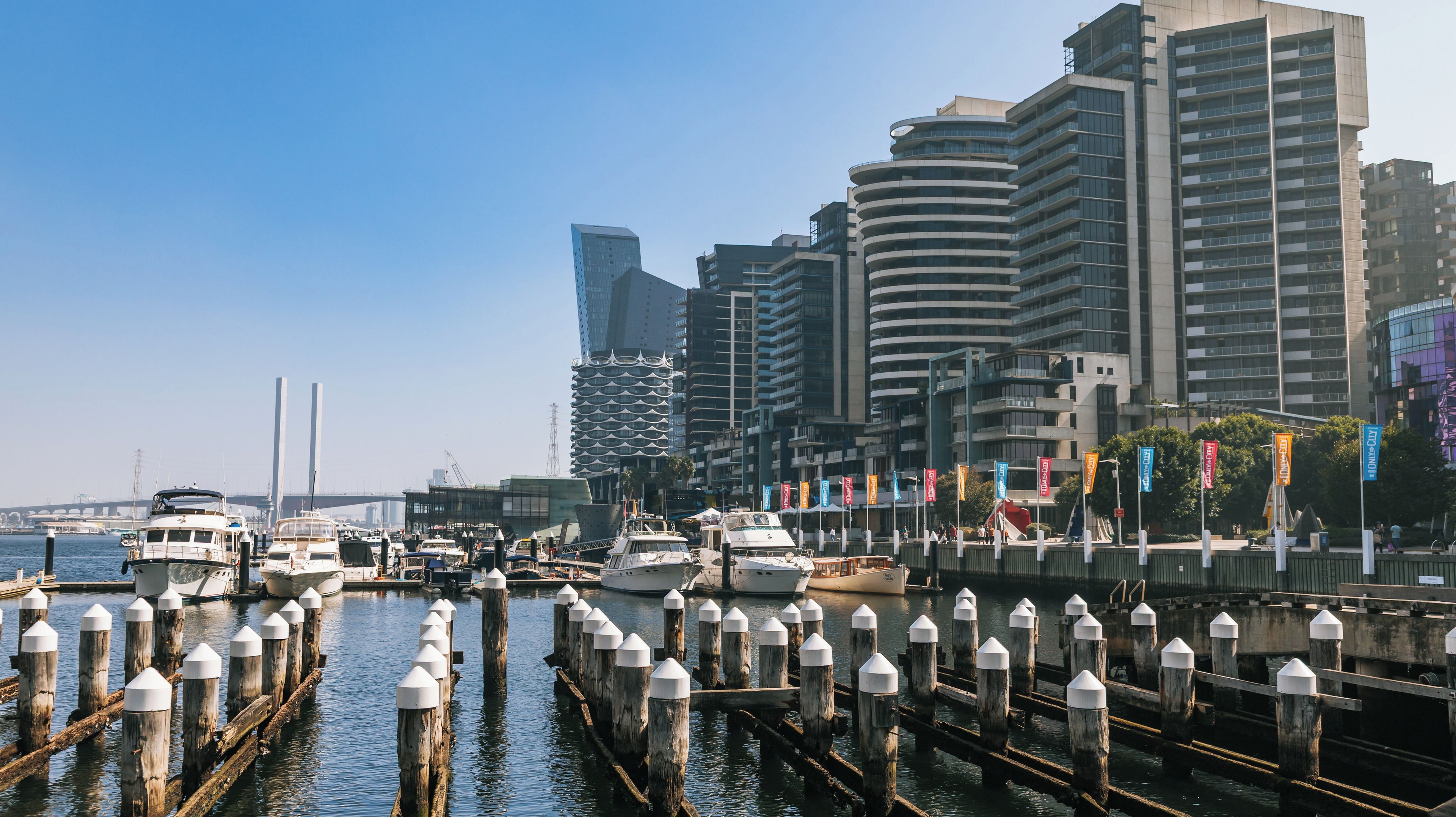 A marina with boats docked, a bridge in the background, and modern buildings.