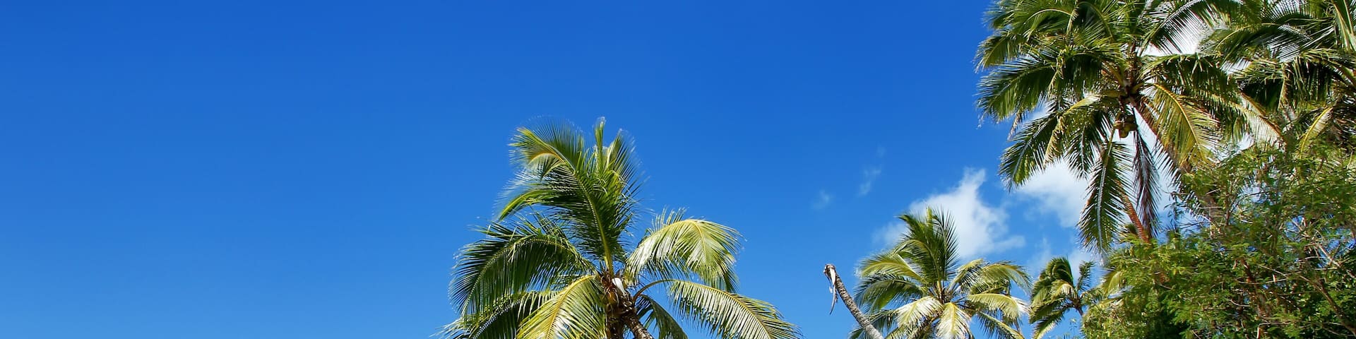 Shore of Makaha'a island near Tongatapu island in Tonga