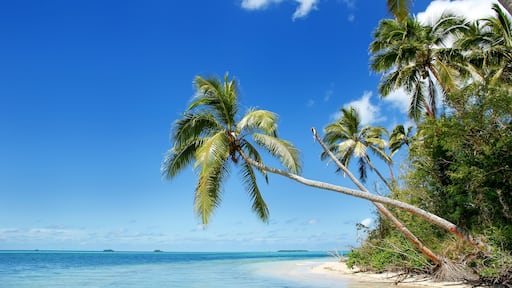 Shore of Makaha'a island near Tongatapu island in Tonga