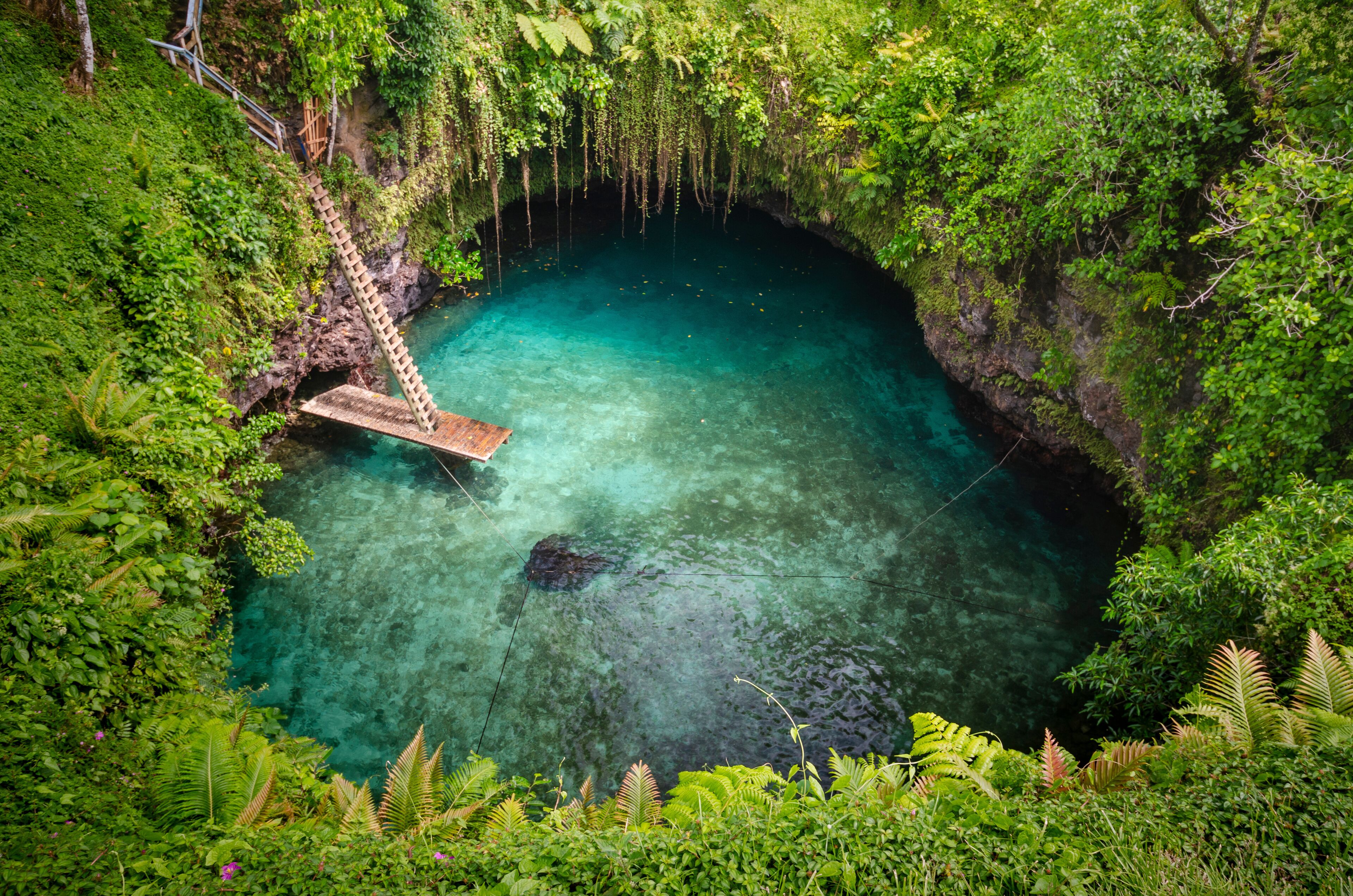 A natural pool surrounded by lush greenery and a wooden bridge.