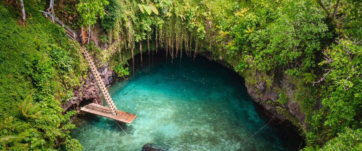A natural pool surrounded by lush greenery and a wooden bridge.