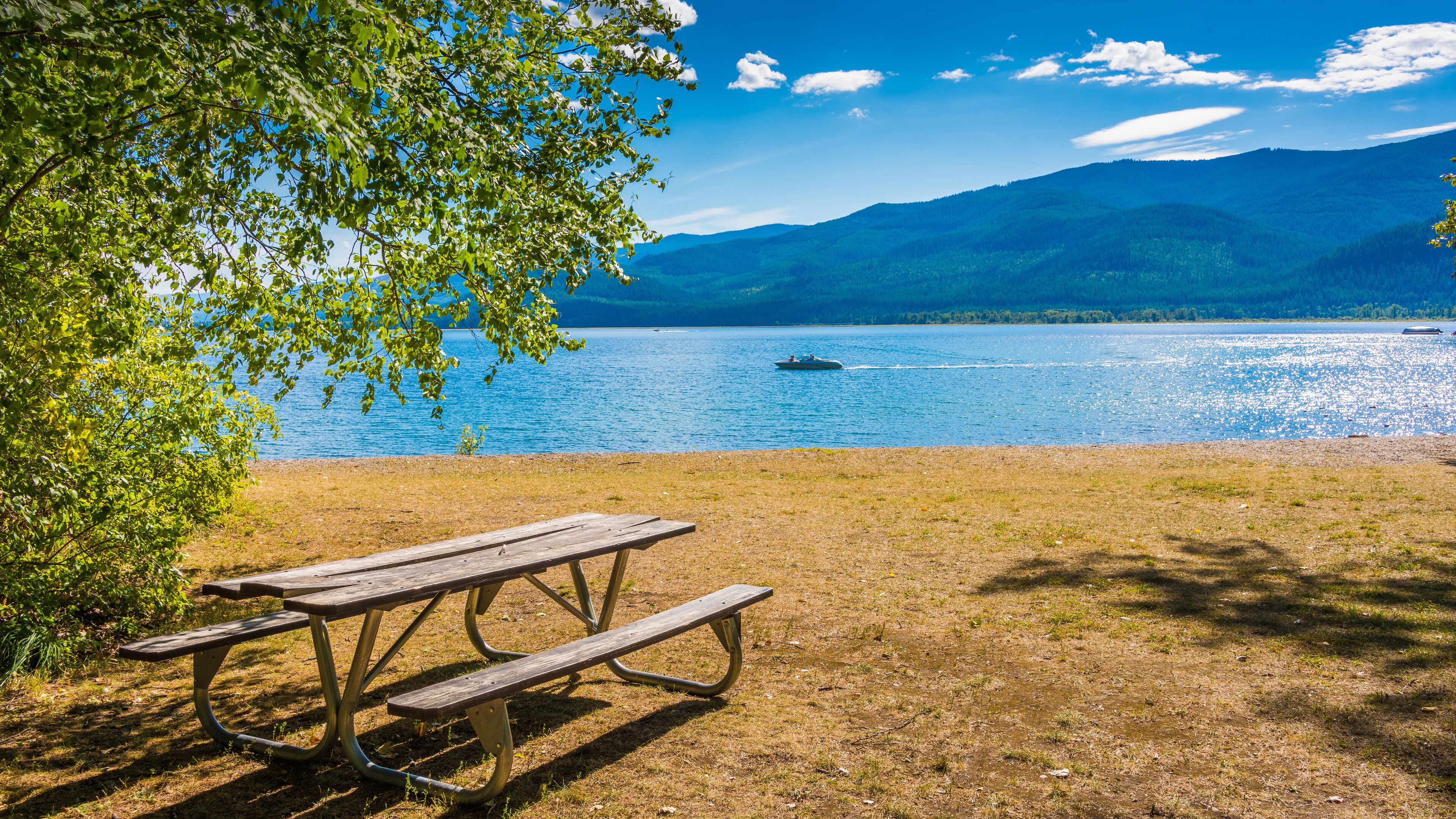 بحيرة البجع