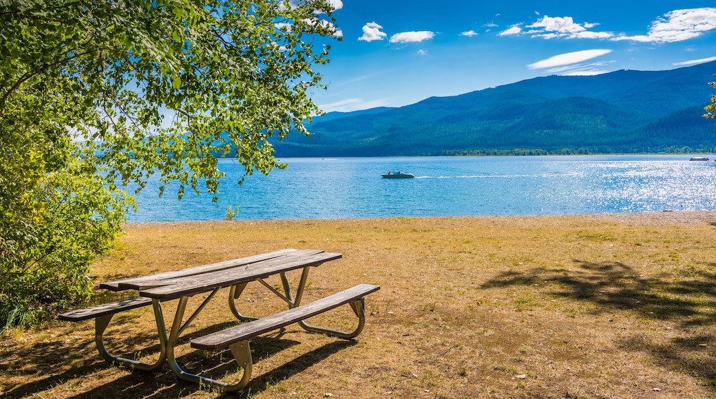 بحيرة البجع