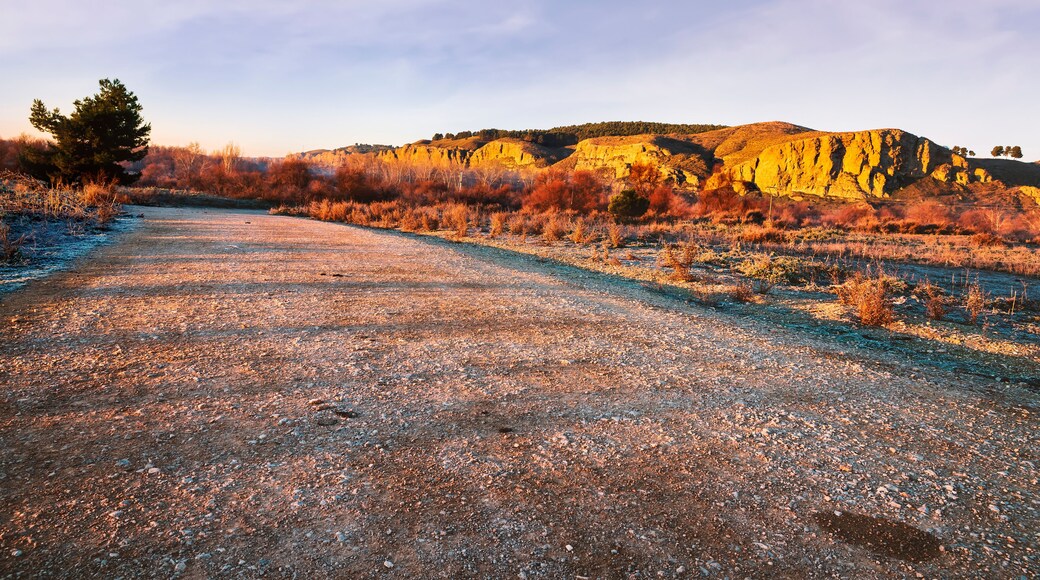 Cárcavas en el Parque Regional del Sureste de Madrid. España.