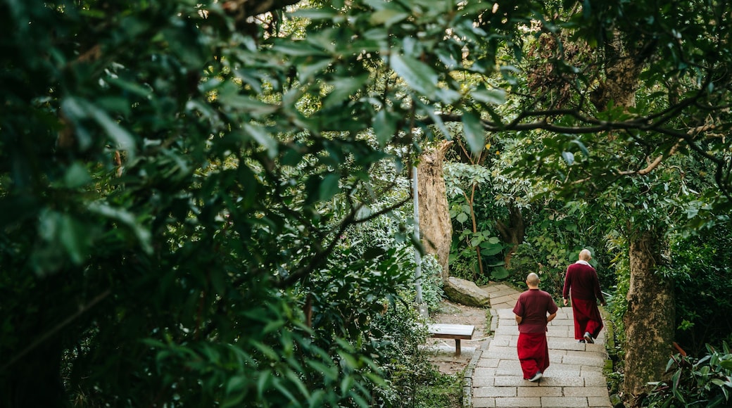 Elephant Mountain which includes a park
