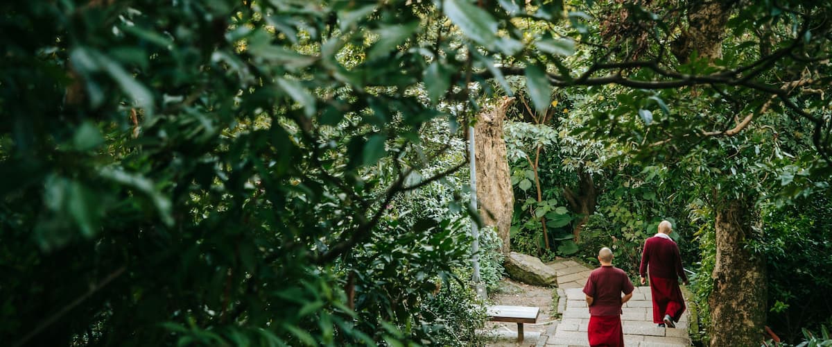 Elephant Mountain which includes a park