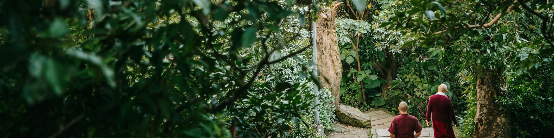 Elephant Mountain which includes a park