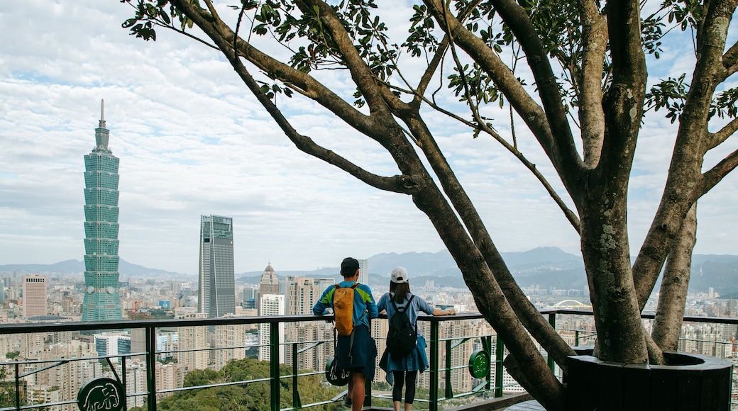Elephant Mountain which includes views and a city as well as a couple