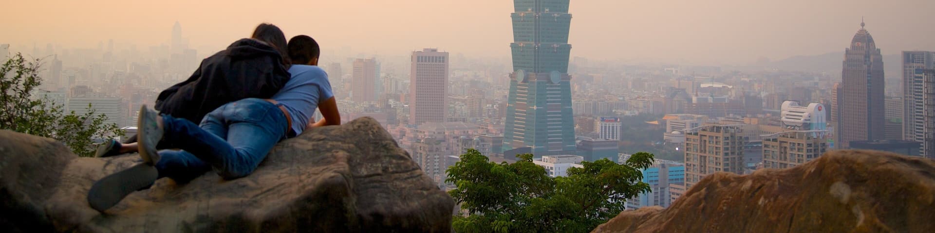 Taipei 101 which includes a skyscraper, mist or fog and modern architecture