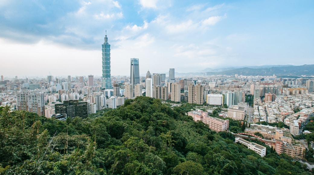 Elephant Mountain featuring landscape views and a city