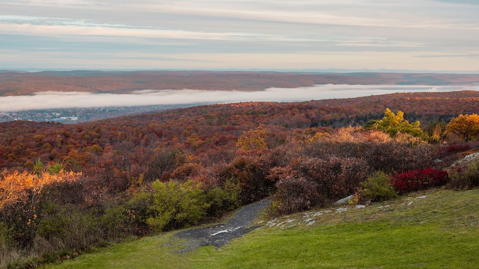 A mountainous landscape with autumn foliage, a valley below, and a distant mist-covered town.