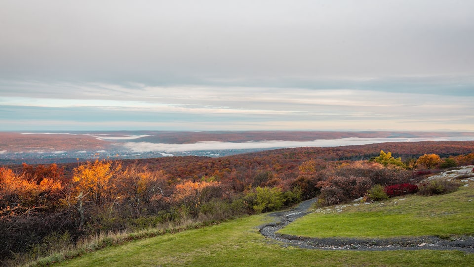 A valley with autumn foliage, a winding path, and distant mountains under a cloudy sky.