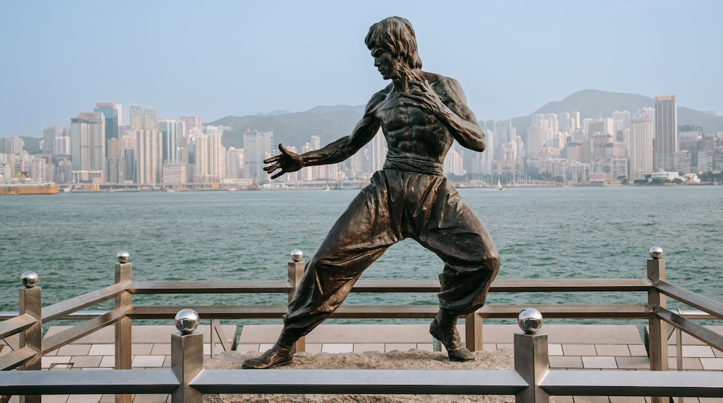 Tsim Sha Tsui Promenade which includes a statue or sculpture and a bay or harbor
