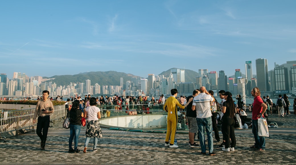 Tsim Sha Tsui Promenade which includes a city as well as a small group of people