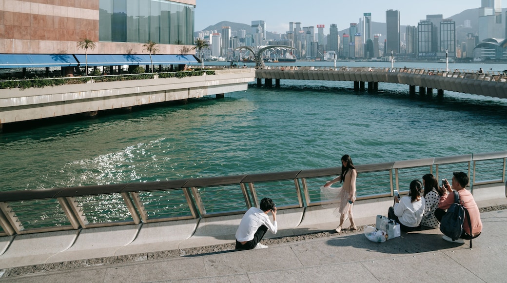 Tsim Sha Tsui Promenade featuring a bridge as well as a couple