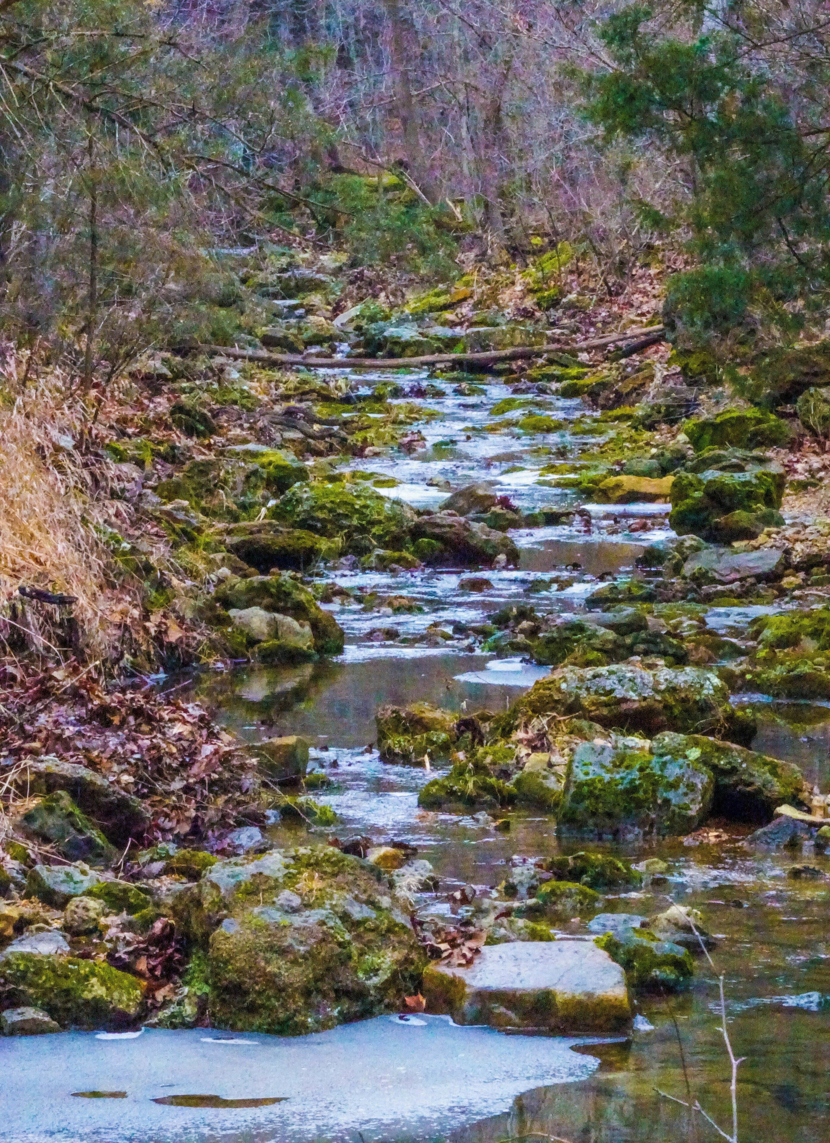 The day may have started out with snow on the ground, but the cold hike was worth getting to see all of the running water flowing around mossy rocks and around melting ice sheets. This creek bed flowed into and through a large natural tunnel located at the end of the 7 mile Natural Tunnel Trail at Bennett Springs State Park in Missouri. It was a relatively easy hike, but a little long. There was plenty of wildlife and scenery along the way to make it worth it though! #Nature #Trovember #LifeAtExpedia