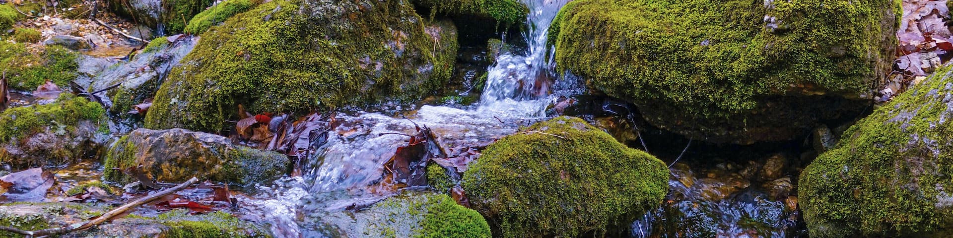 Another natural waterfall along the Natural Bridge Trail at Bennett Springs State Park in Missouri. As the sun came out and the light dusting of snow melted, I couldn't get enough of how clear the water was and how green the moss on the rocks were. #Nature
