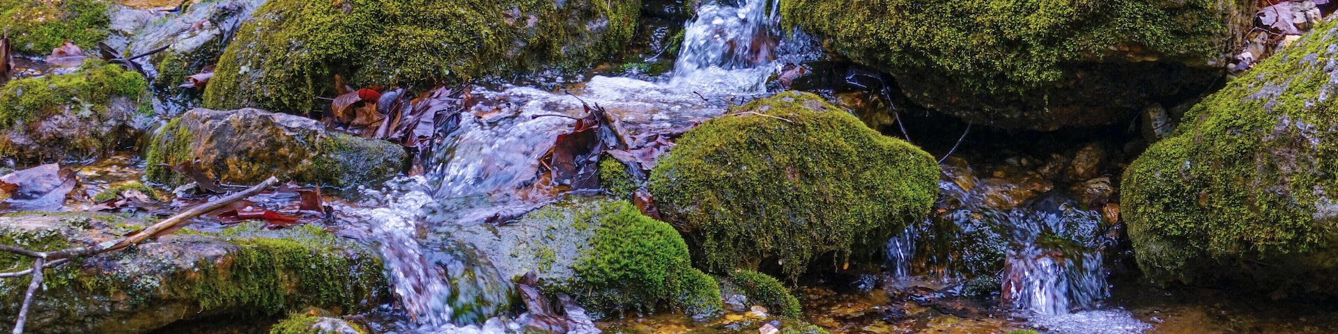 Another natural waterfall along the Natural Bridge Trail at Bennett Springs State Park in Missouri. As the sun came out and the light dusting of snow melted,  I couldn't get enough of how clear the water was and how green the moss on the rocks were. #Nature