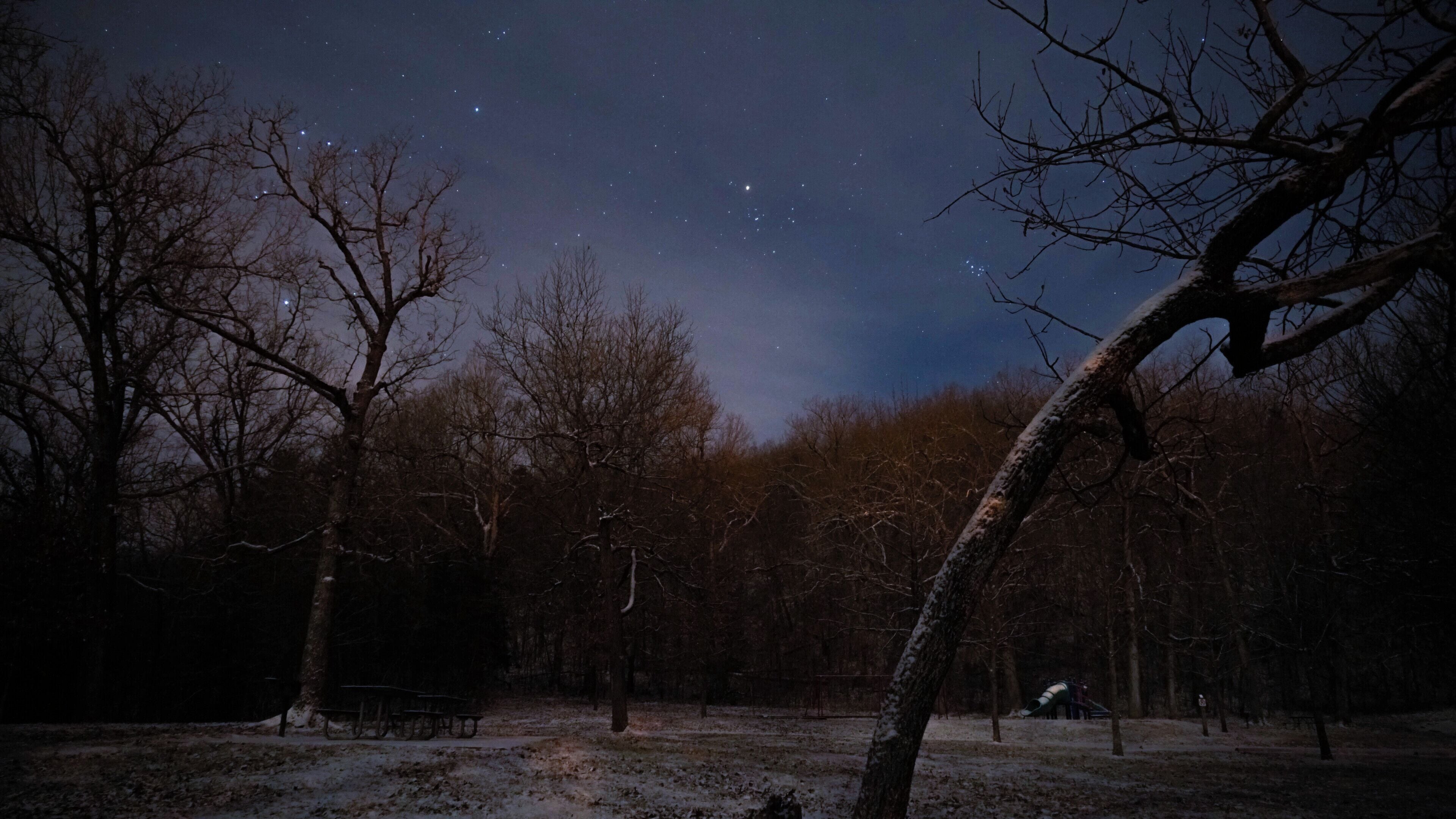 Un parque nevado de noche, con árboles desnudos y un área de juegos.