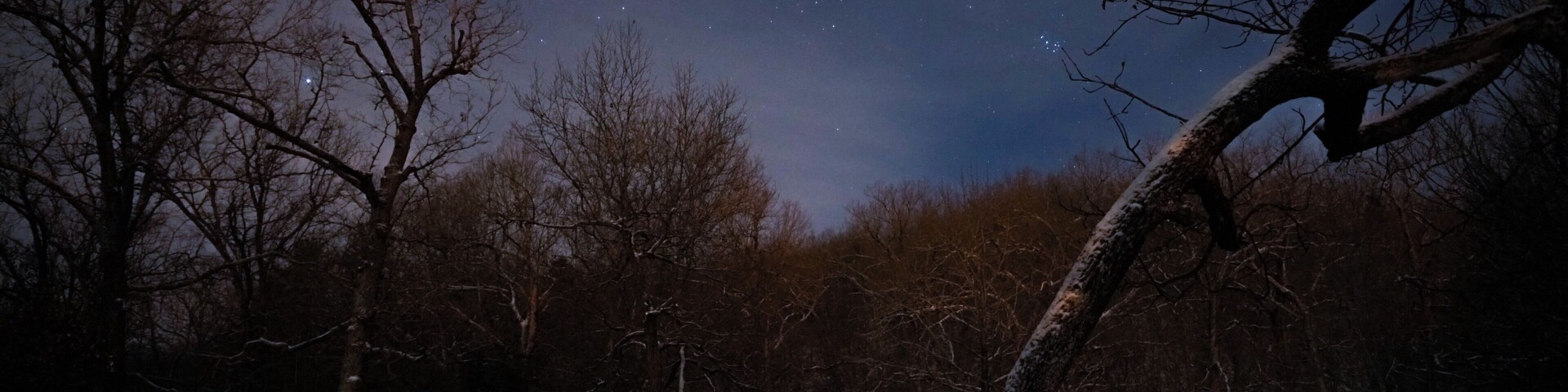 Un parque nevado de noche, con árboles desnudos y un área de juegos.