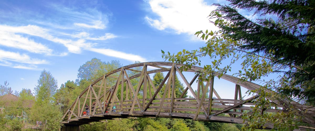 Park at Bothell Landing showing a river or creek and a bridge