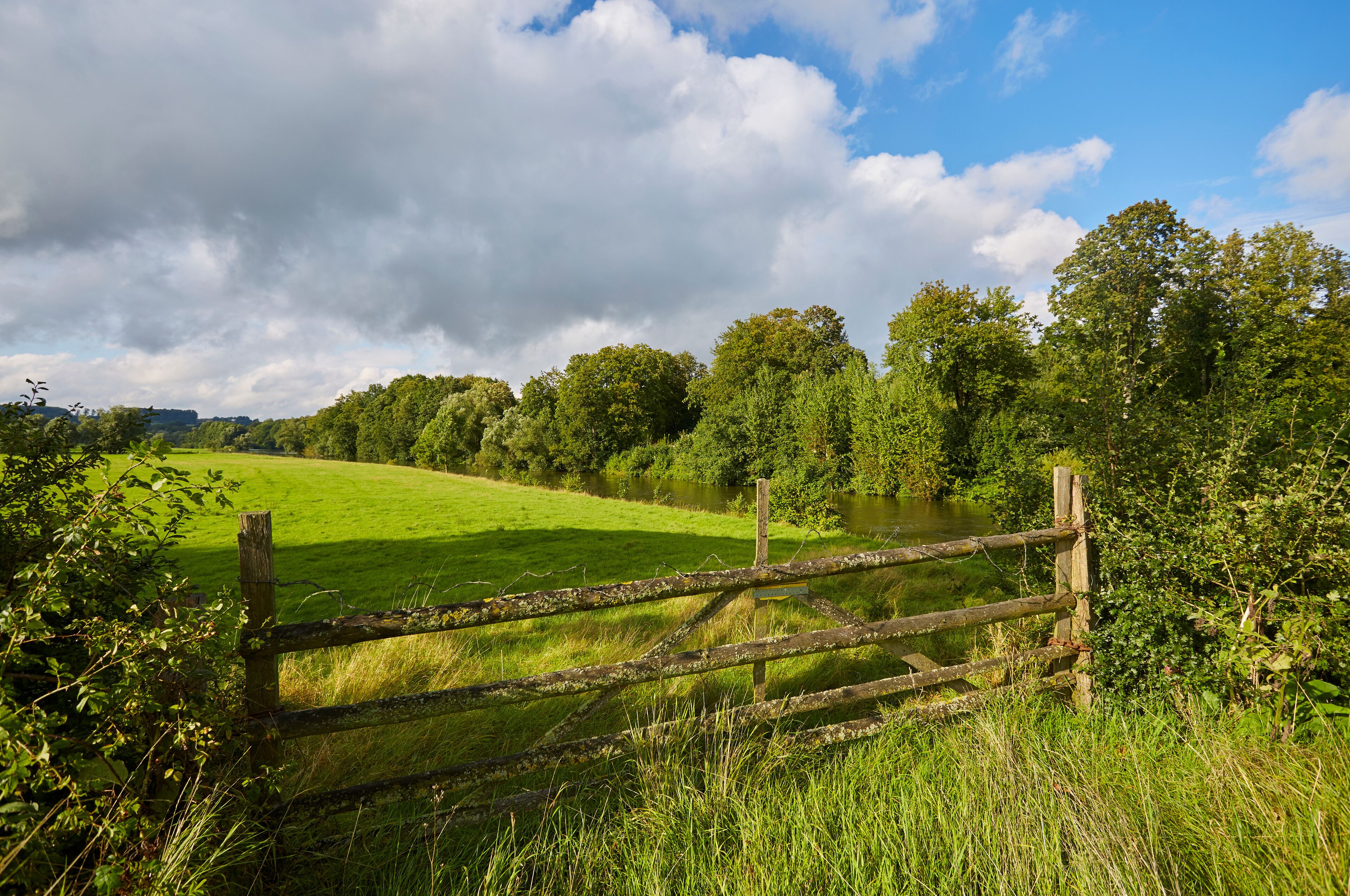 Entlang der Ruhr, Ruhrtalradweg, Ense, Wickede, Kreis Soest, 2023