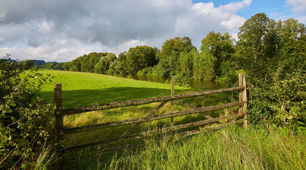 Paradise Valley bevaringsområde