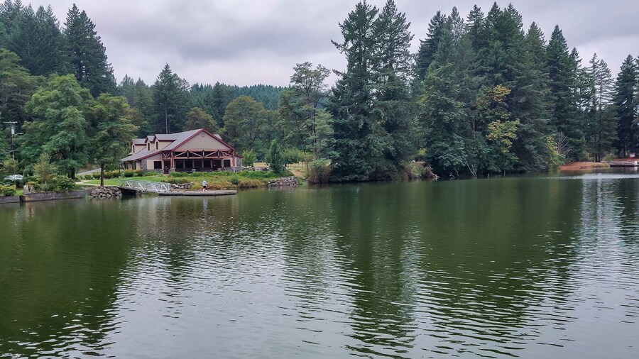 Wonderful Lacamas Lake on a breezy cloudy morning with the wilderness reflecting in the calm shimmering water in Camas Washington