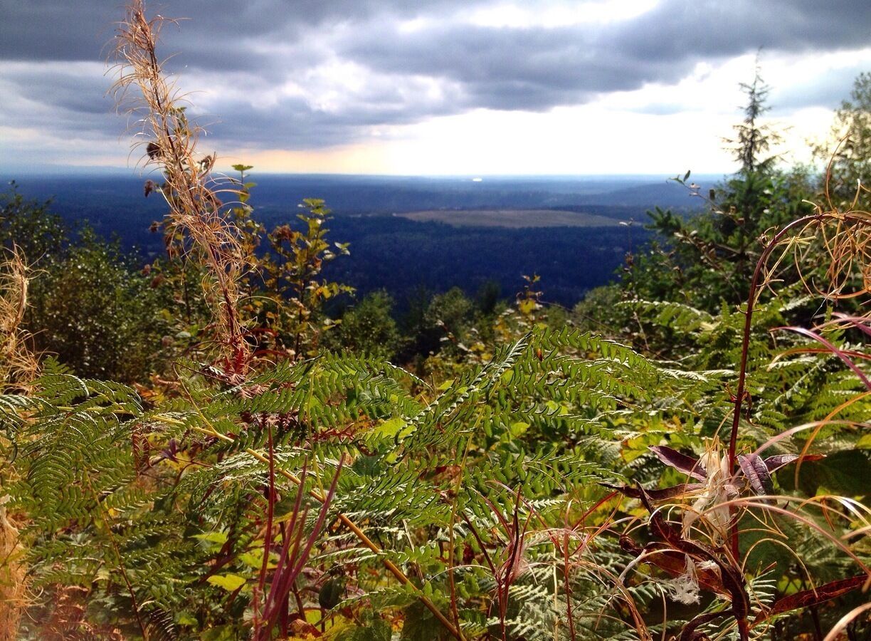 This is a cool viewpoint very close to the top (Poo Poo Point itself).

The trail itself is about 8 miles round trip and is actually quite steep. There are not too many flat sections of the trail.

Many people hang glide off of Poo Poo Point. We probably saw about 5-6 in the time it took us to do the trail. 