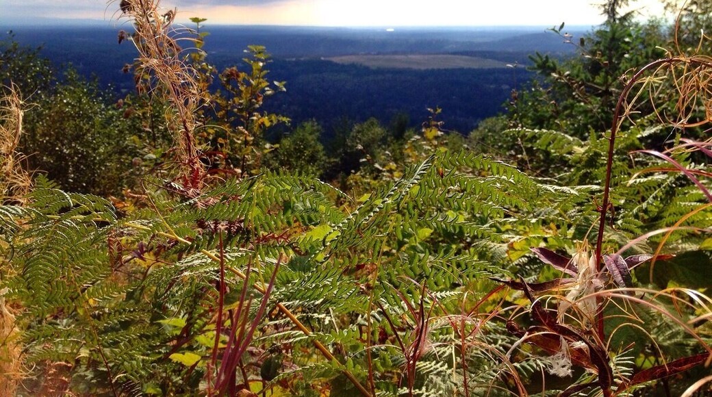 This is a cool viewpoint very close to the top (Poo Poo Point itself).
The trail itself is about 8 miles round trip and is actually quite steep. There are not too many flat sections of the trail.
Many people hang glide off of Poo Poo Point. We probably saw about 5-6 in the time it took us to do the trail.