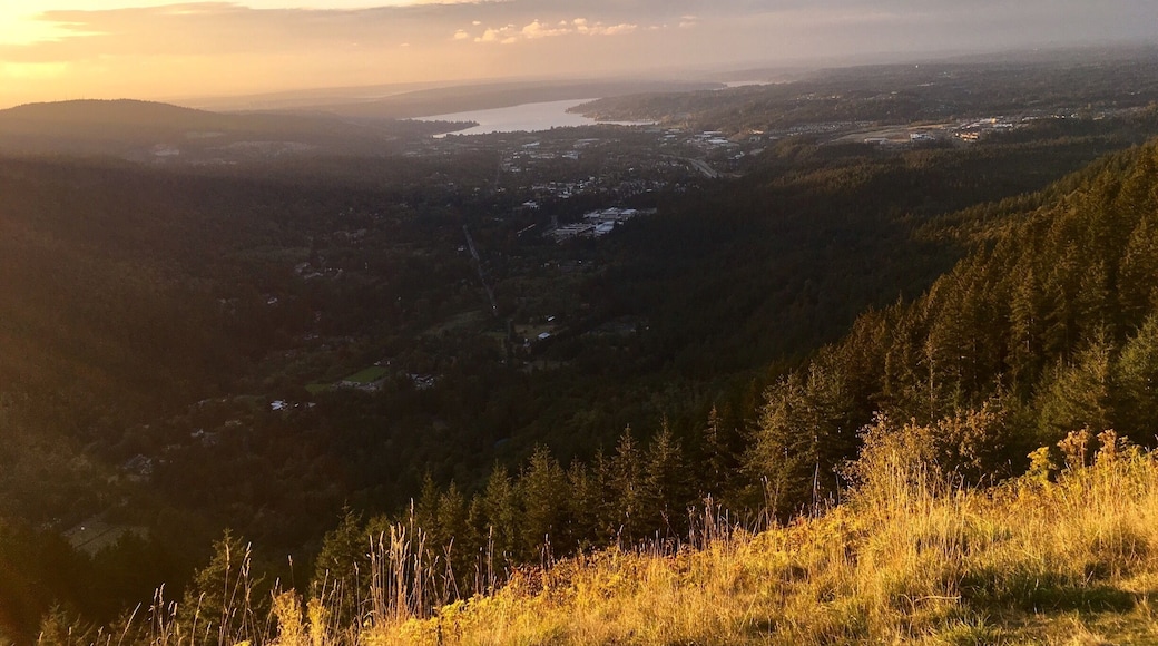 Loved the view but didn't love the last 30 or so minutes of the hike down (darkness + big rock "steps" when my legs were already exhausted).