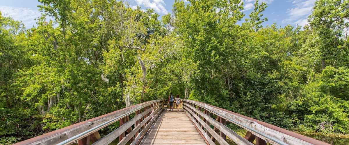 Sawgrass Lake Park featuring a bridge as well as a couple