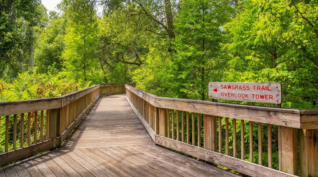 Sawgrass Lake Park which includes signage, a bridge and forest scenes