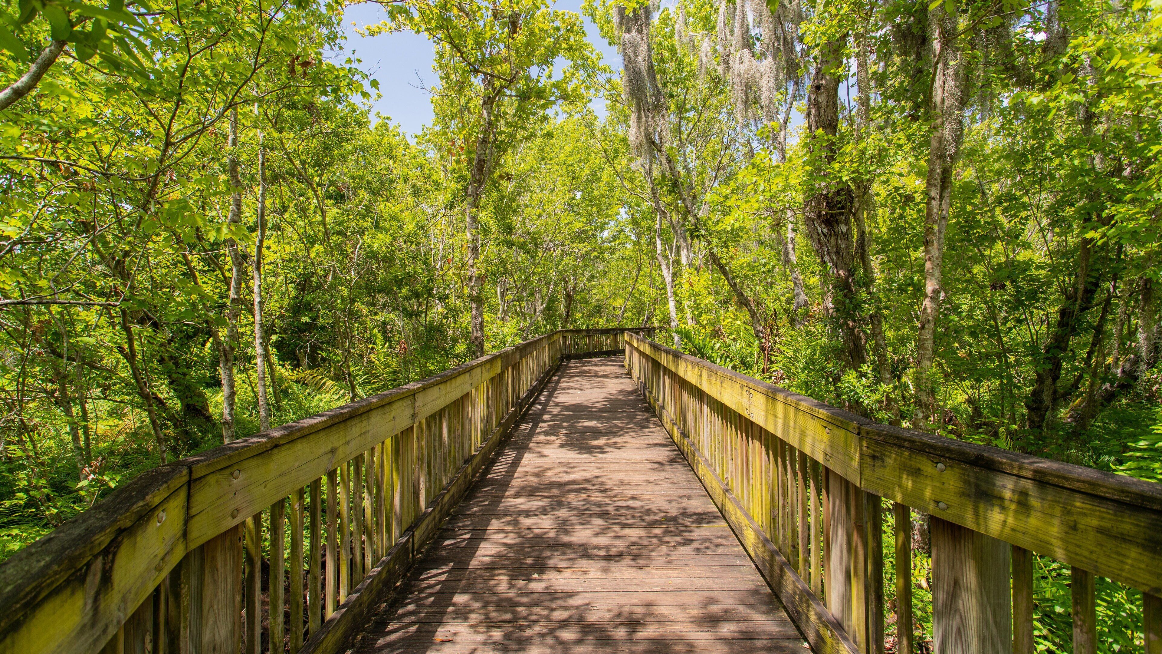 Sawgrass Lake Park featuring forests