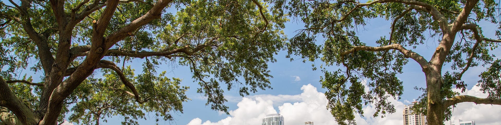 Vinoy Park showing a park and a bay or harbor