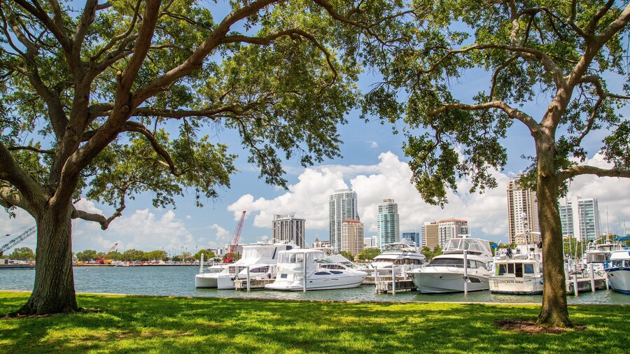 Vinoy Park showing a park and a bay or harbor