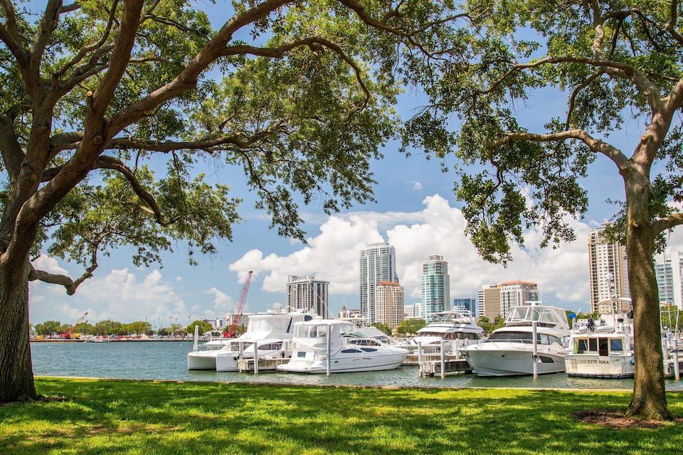 A marina with yachts docked, surrounded by trees and a city skyline in the background.