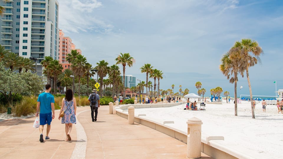A sunny promenade with palm trees, a beach, and high-rise buildings in the background.