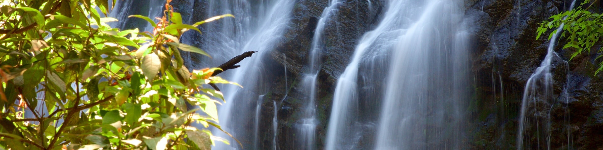 A waterfall surrounded by lush greenery.
