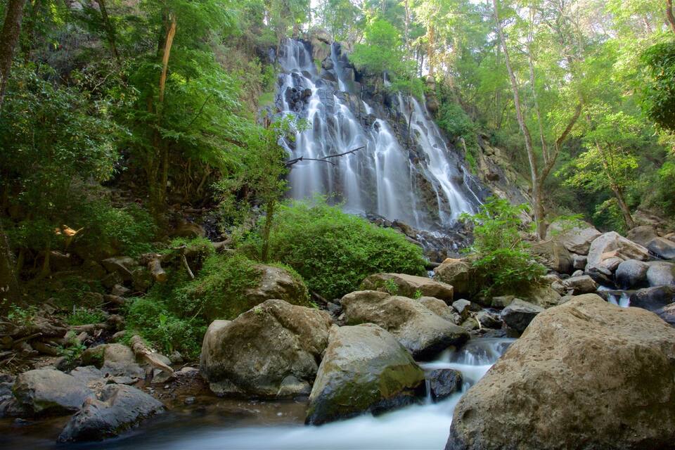 A waterfall surrounded by lush greenery and large rocks.