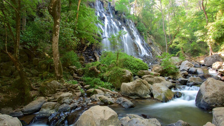Cascadas Velo de Novia ofreciendo bosques, un río o arroyo y cataratas