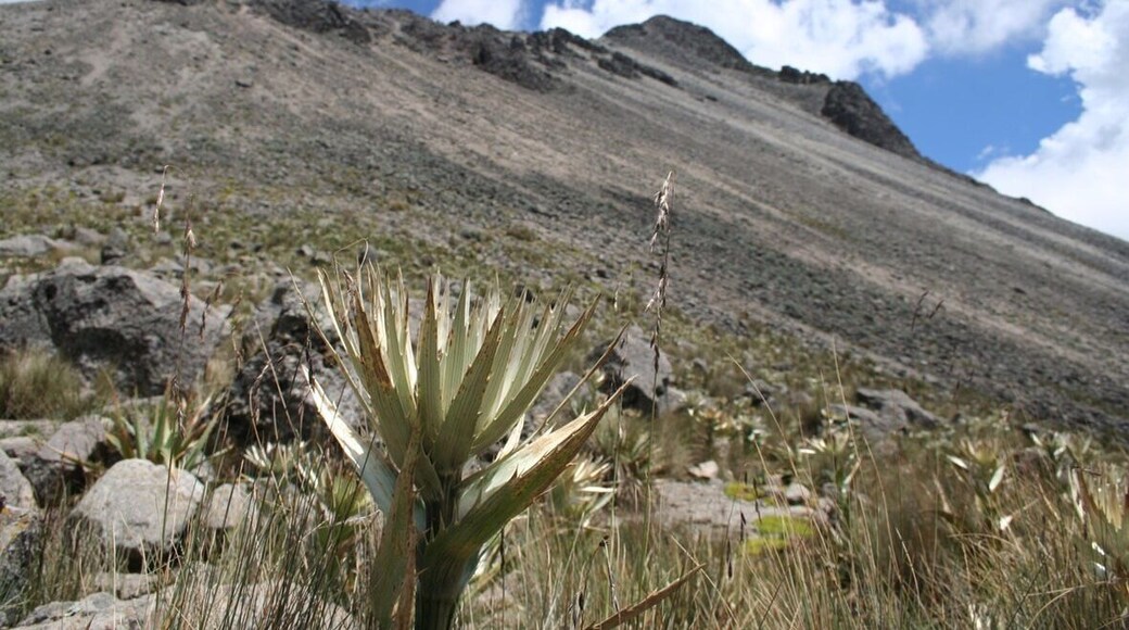 Nevado de Toluca is a large stratovolcano in central Mexico, located about 50 miles west of Mexico City near the city of Toluca. It is generally cited as the fourth highest of Mexico's peaks, after Pico de Orizaba, Popocatépetl and Iztaccíhuatl.
A nice place for hiking but be careful, you could come back with some badass heathache
#troveon #outdoors #nature #ecoturism #getaway #mexico #travel #hiking