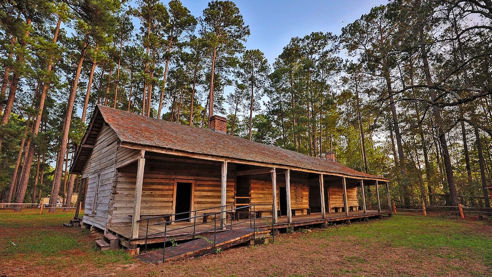 A rustic wooden cabin surrounded by tall pine trees.